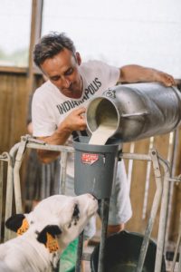 gite ferme vacances lacledeschamps cosy bretagne week-end