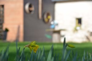 JARDIN GITE VACANCES PRINTEMPS